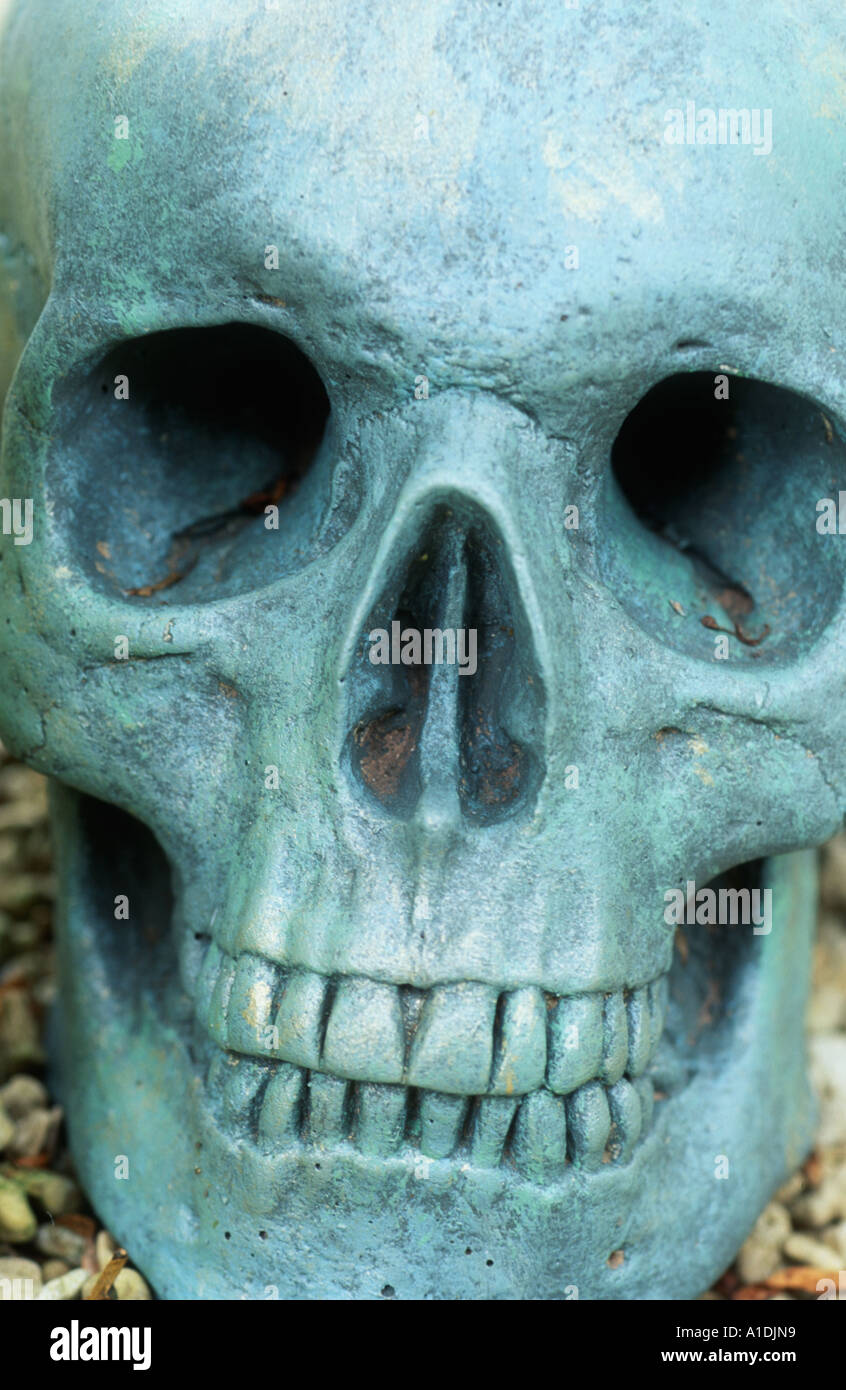 Crâne peint en bleu dans le jardin Banque D'Images