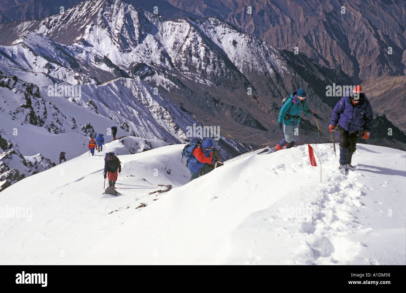 Les alpinistes près du sommet du Stok Kangri au Ladakh Leh près de Jammu Cachemire Inde du Nord Banque D'Images