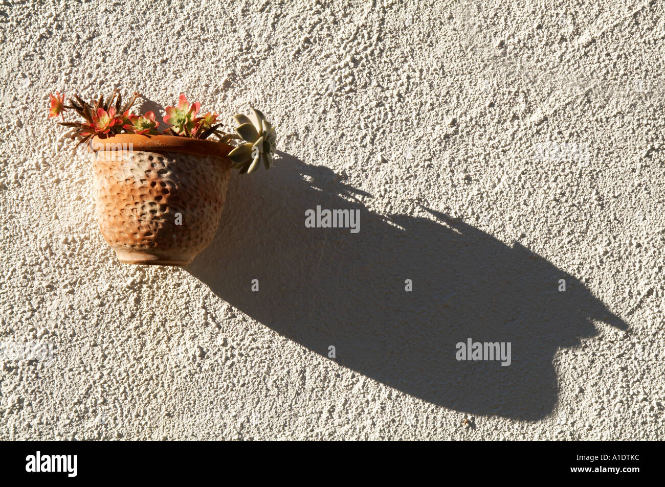 La lumière du soleil, ombre, fleur, pot, mur, fort, d'encastrement,  Méditerranée, Espagne, Espagnol, soir, soleil, l'art, de la lumière du  soleil, ombre, fleur, p Photo Stock - Alamy