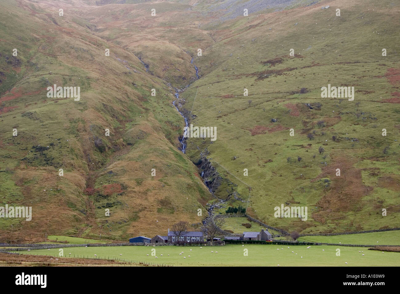 Deux Hill Farms, à la base du Nant Ffrancon Valley dans le parc national de Snowdonia North Wales United Kingdom Banque D'Images