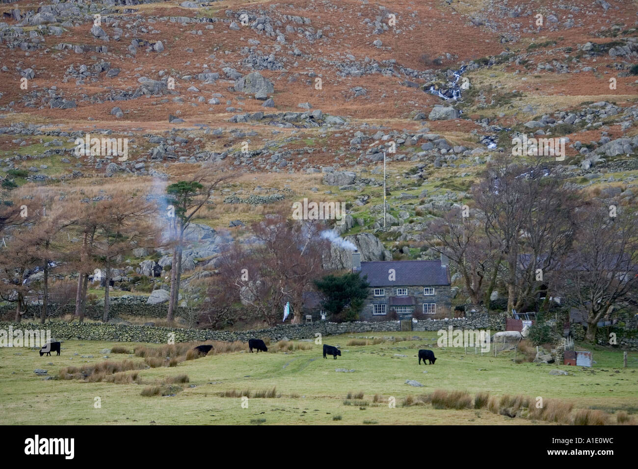 Hill Farm dans le parc national de Snowdonia North Wales United Kingdom Banque D'Images