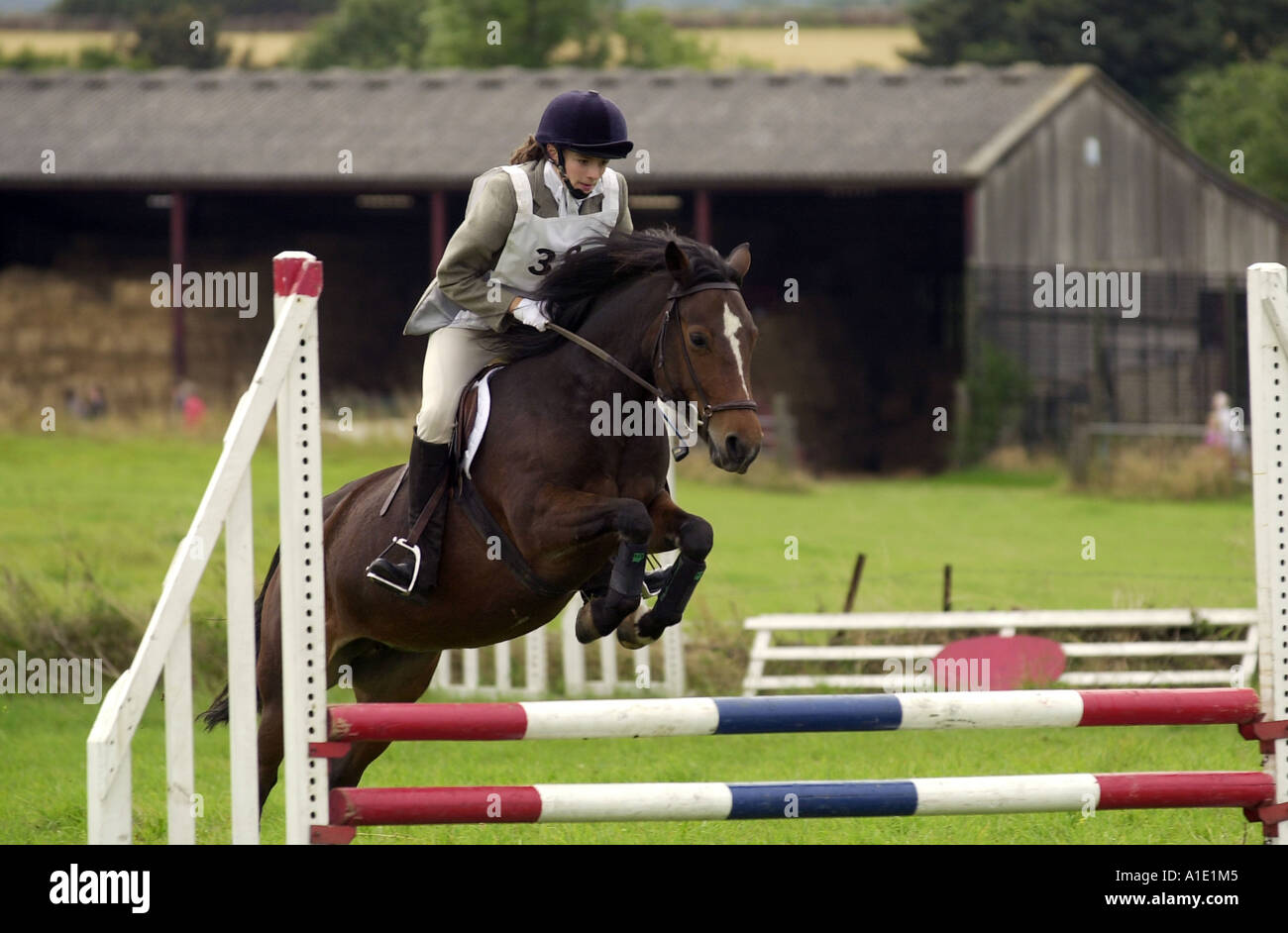 Jeune femme rides bay pony plus showjump en concours complet d'équitation Gloucestershire Royaume Uni Banque D'Images