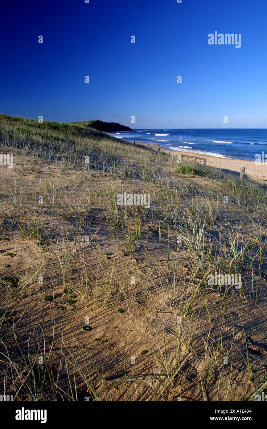 Long Reef Beach à Sydney en Australie. Banque D'Images