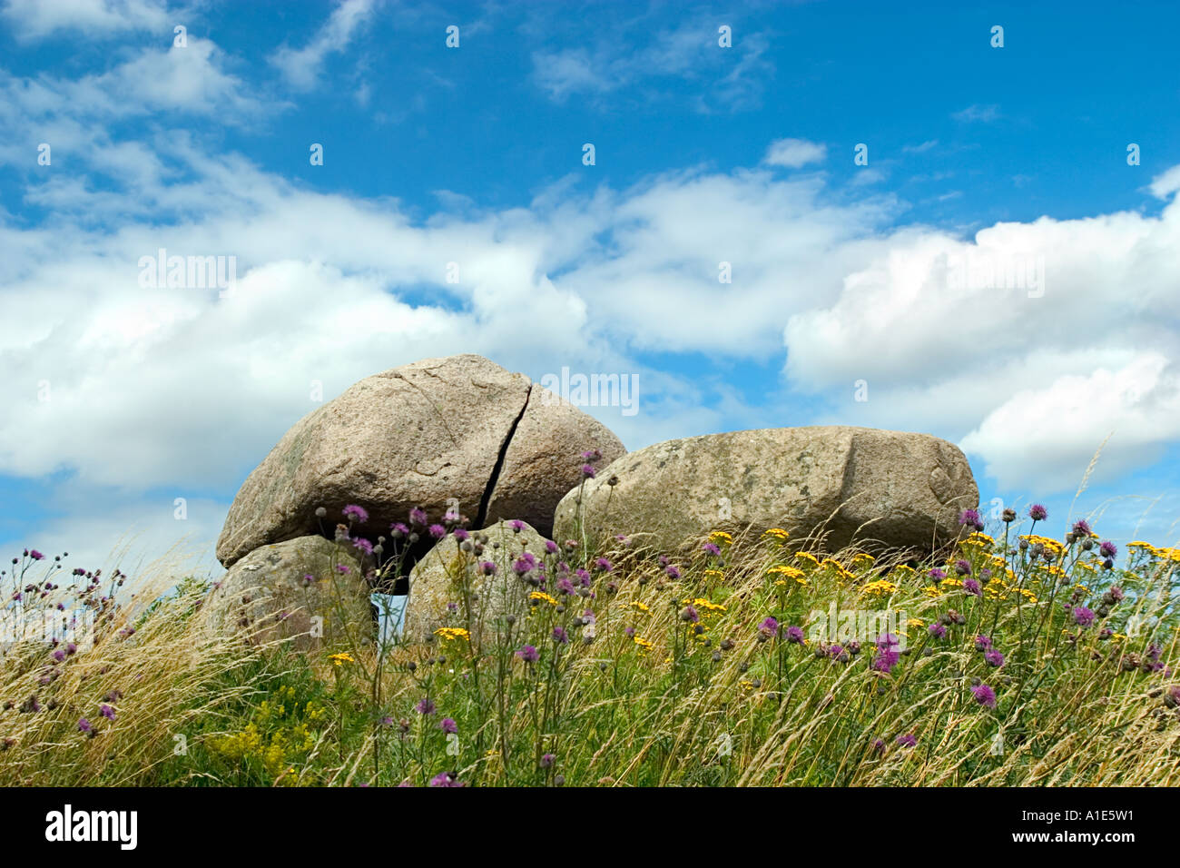 Dolmen Stone Age 3500 3100 B C Danemark Banque D'Images