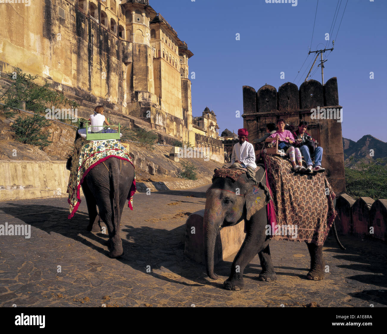 Les touristes sont prises jusqu'à Fort Amber sur les éléphants à Jaipur dans le Rajasthan en Inde Banque D'Images