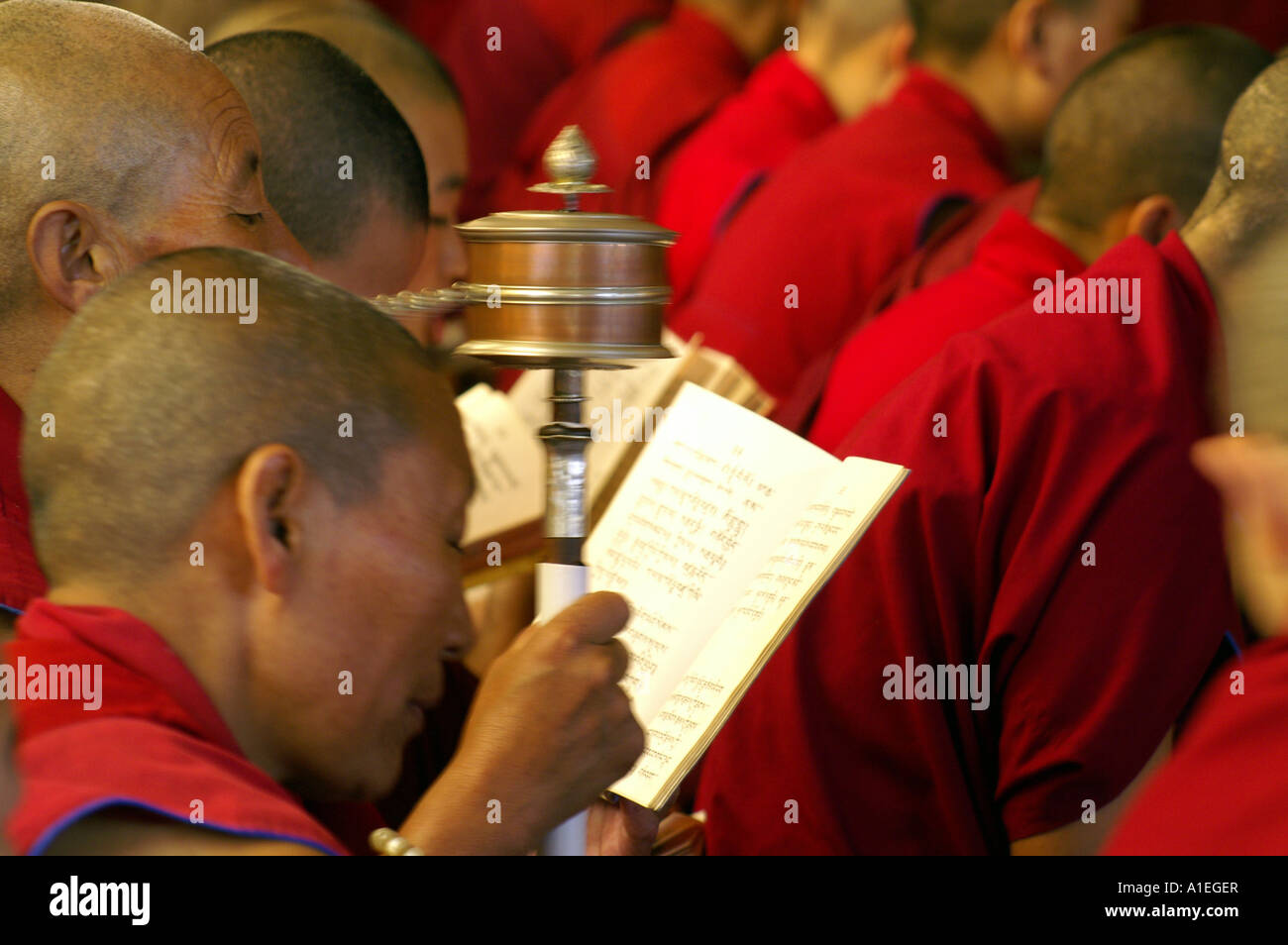Moine dans le monastère de Namgyal livre et lecture personnelle des mains en rotation pendant les prières prières Banque D'Images