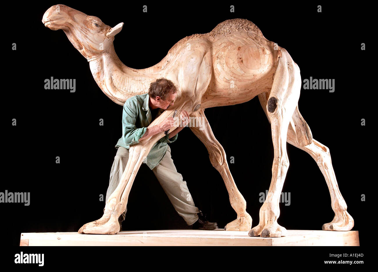 Sculpteur 'Nick Johnson' avec son chameau en bois sculpté de parquets anciens Banque D'Images