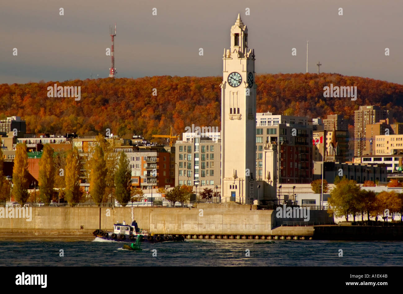 Tour de l'Horloge, Quai de l'horloge, le Vieux Port, le Vieux Montréal, le  pont Jacques-Cartier, Montréal, Québec, Canada Photo Stock - Alamy