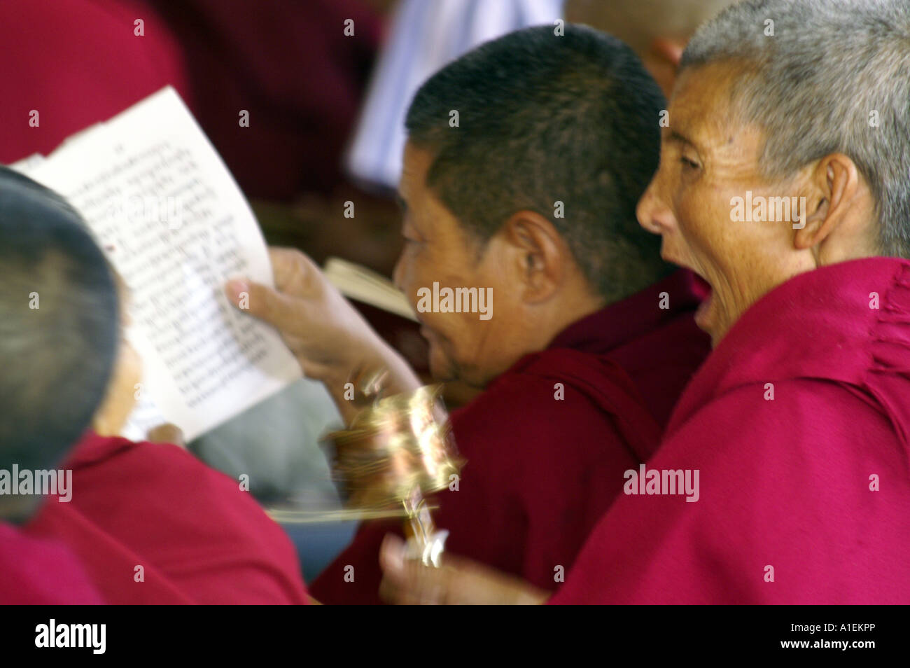 Moine dans le monastère de Namgyal à prière personnelle des mains de filature et de bâiller pendant les prières Banque D'Images