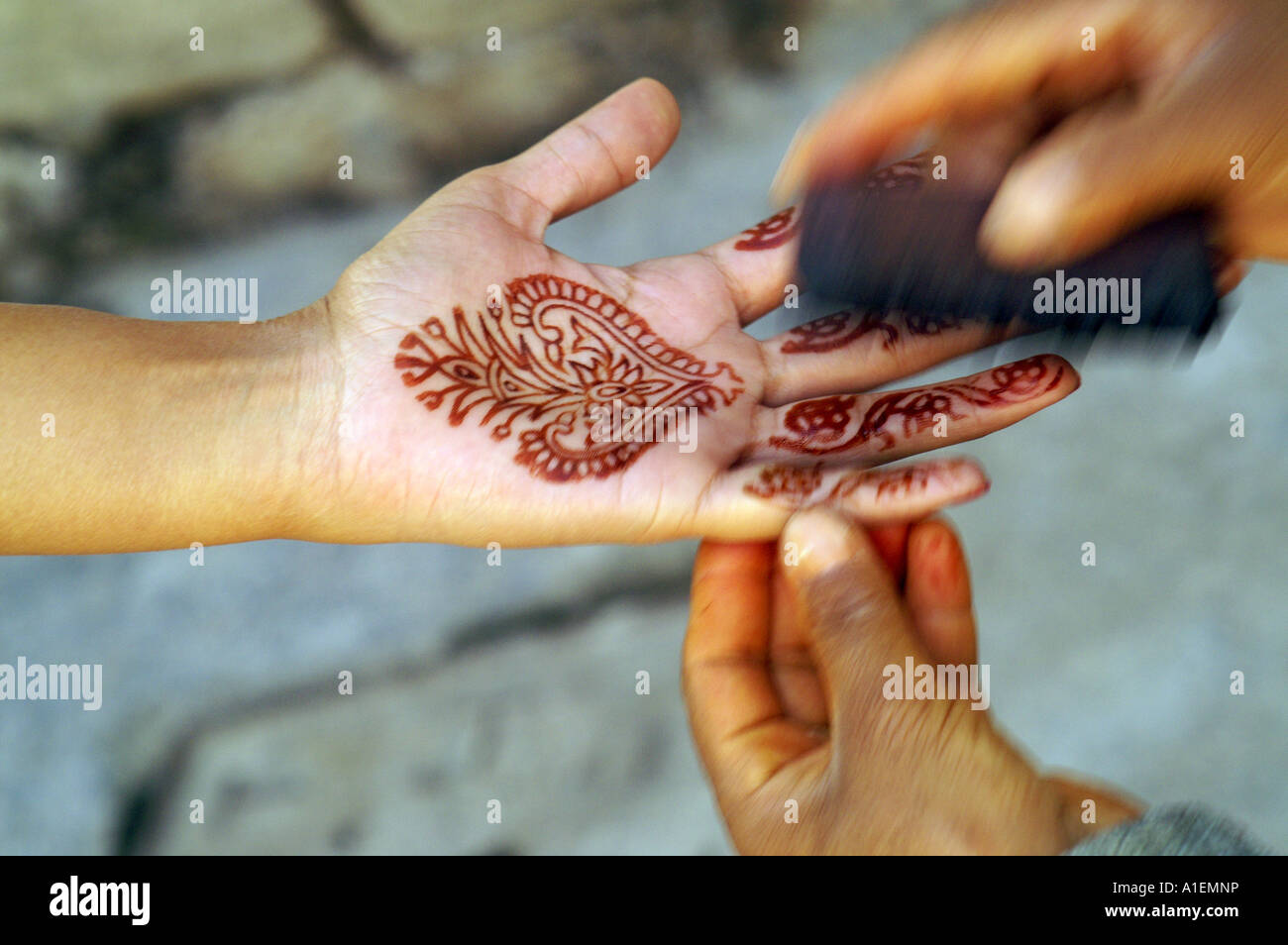 Peinture au henné sur palm fait par impression de tampon en caoutchouc,  Vashist, Inde Photo Stock - Alamy