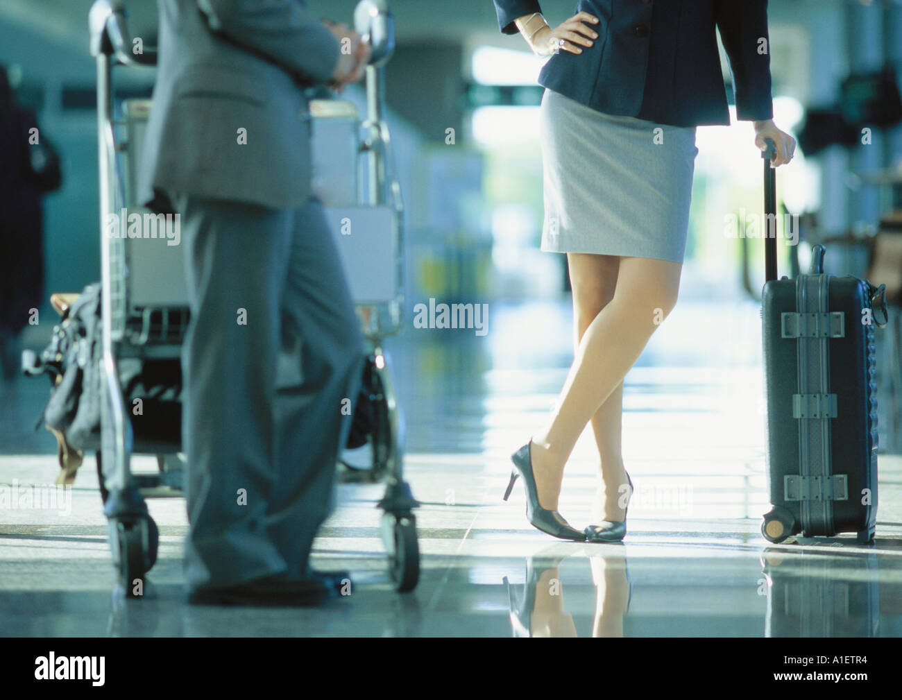 Businessman and businesswoman standing with luggage in airport Banque D'Images