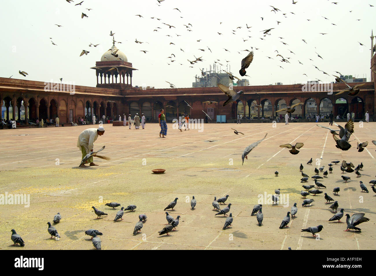 La masse des auxiliaires dans le Jama Masjid mosquée musulmane, New Delhi, Inde Banque D'Images