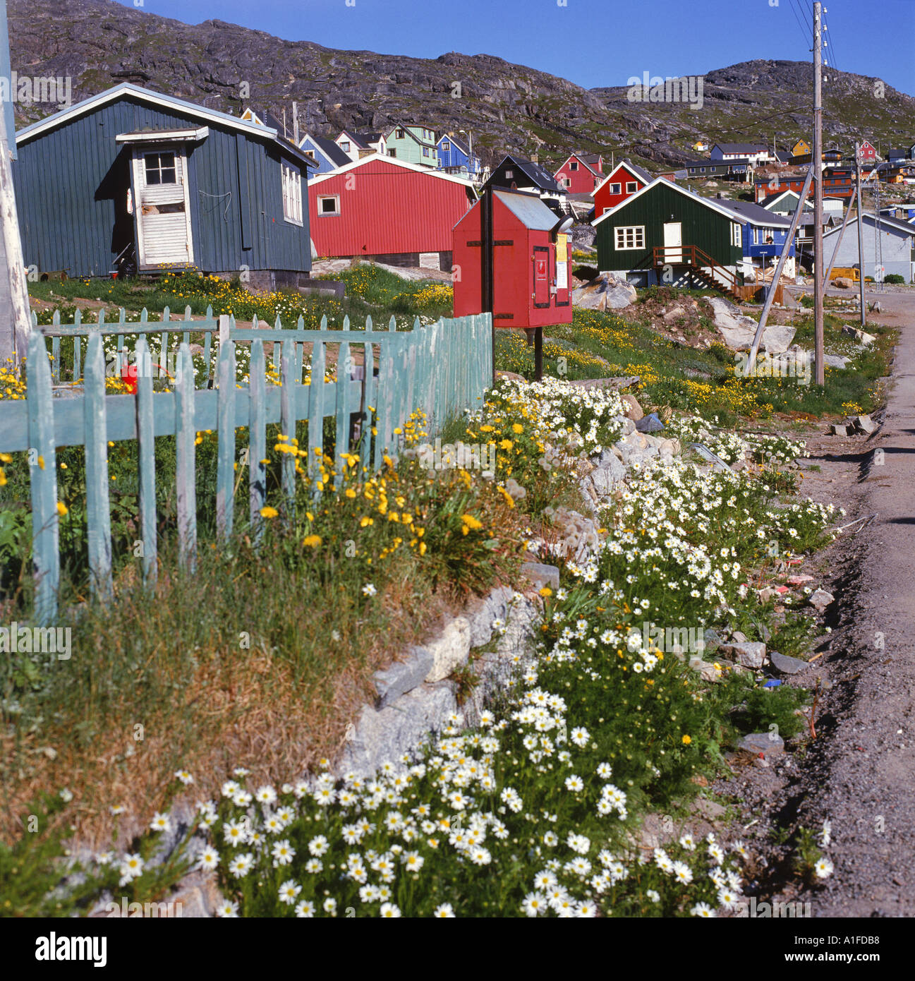 Maisons typiques en bois avec des clôtures à Julianehab au Groenland D Lomax Banque D'Images