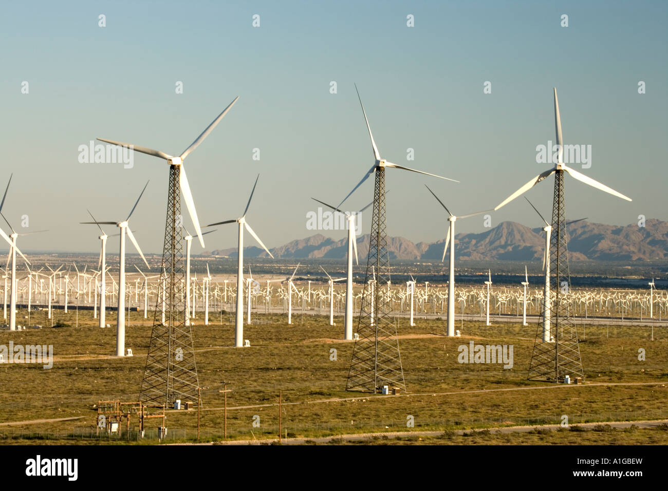 Éoliennes, générateurs du vent, en Californie Banque D'Images
