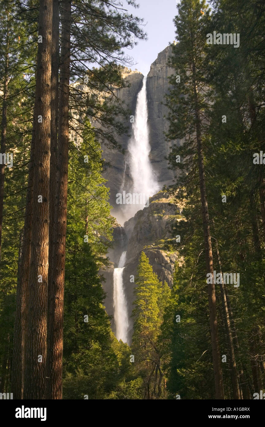 Yosemite Falls, au printemps, parc national de Yosemite. Banque D'Images