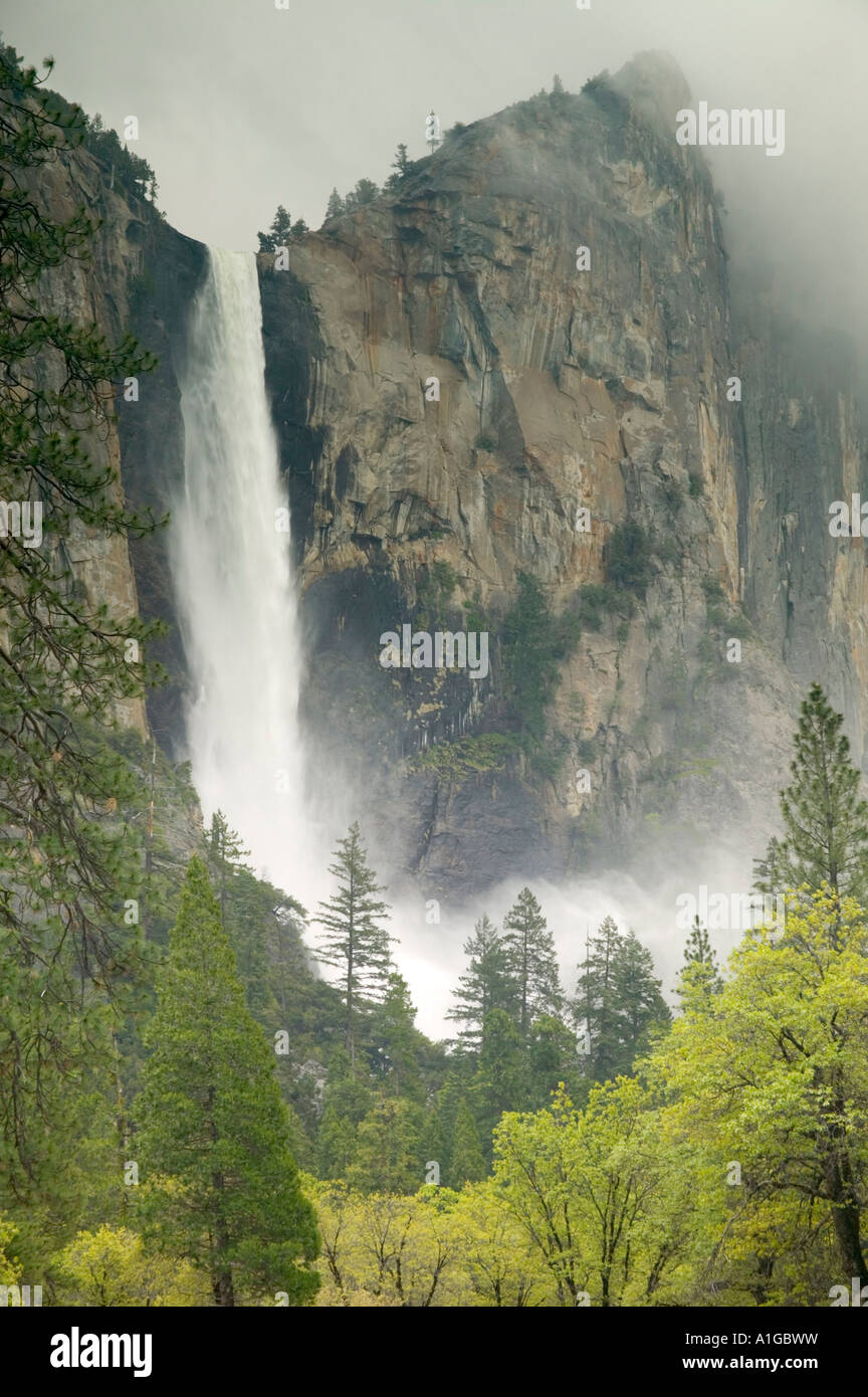 Bridalveil Falls pendant le ruissellement printanier, Yosemite National Park, Banque D'Images