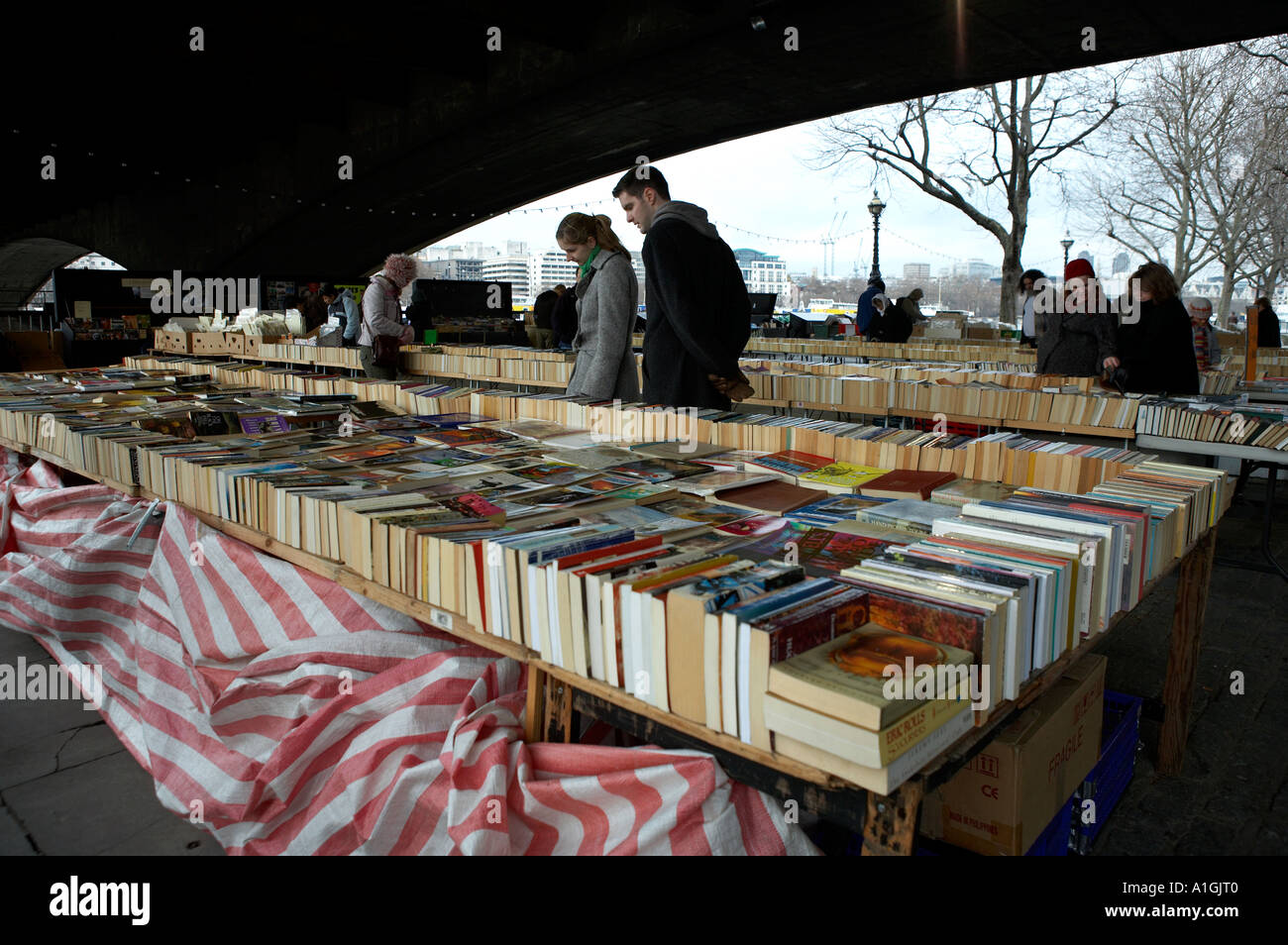 La navigation sur les étals de livres d'occasion sous waterloo bridge rive sud london uk Banque D'Images