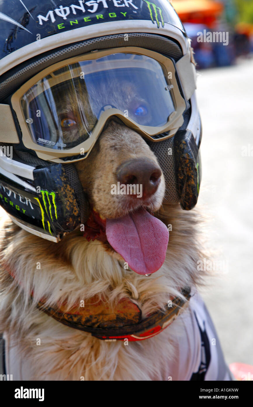 Opie Au Lac Elsinore Lake Elsinore Grand Prix dans le Comté de Riverside en Californie United States Banque D'Images