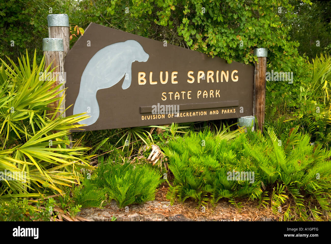 Park sign 'Blue Spring State Park', en Floride Banque D'Images