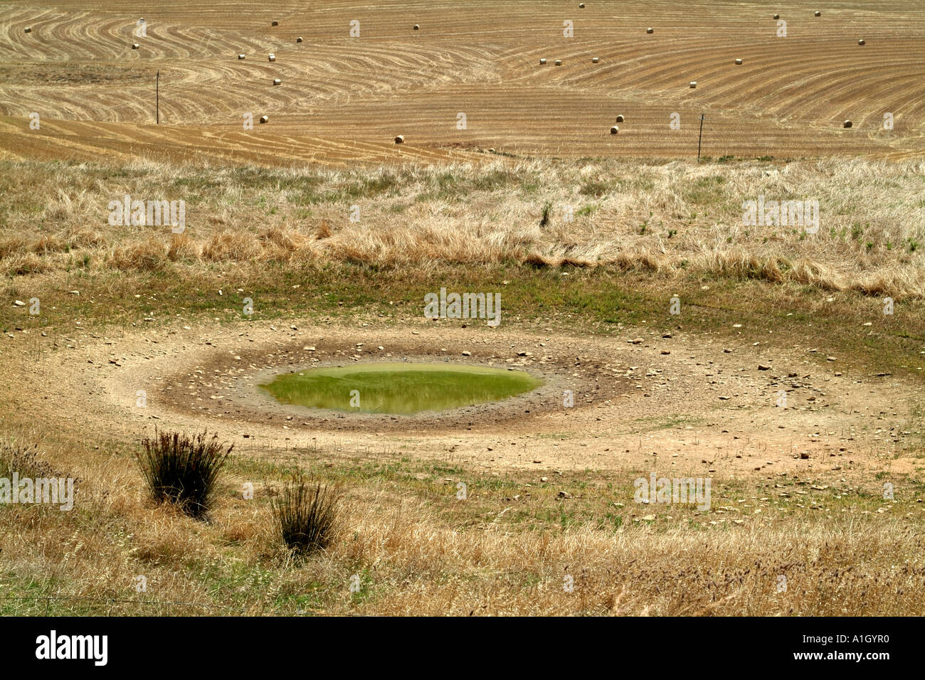 Trou d'eau sécher. Wheatlands dans l'Overberg sur la Garden route près de Caledon Western Cape Afrique du Sud RSA Banque D'Images