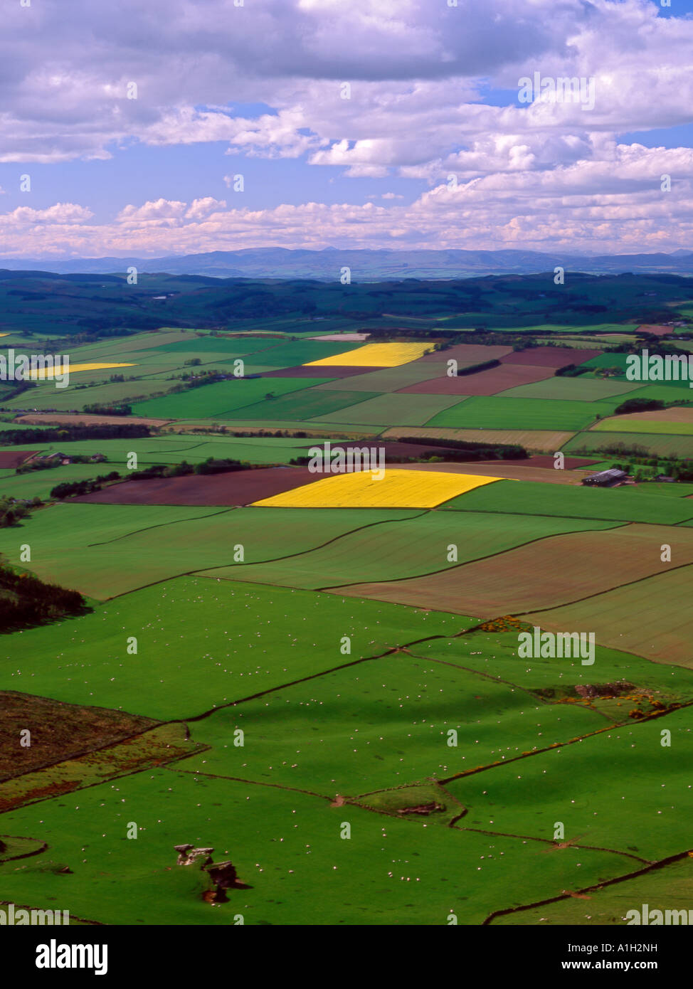 Campagne Fife prises de West Lomond Hill dans le Fife Ecosse Banque D'Images