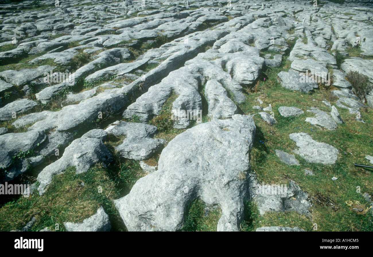 Lapiez Banque D'Images