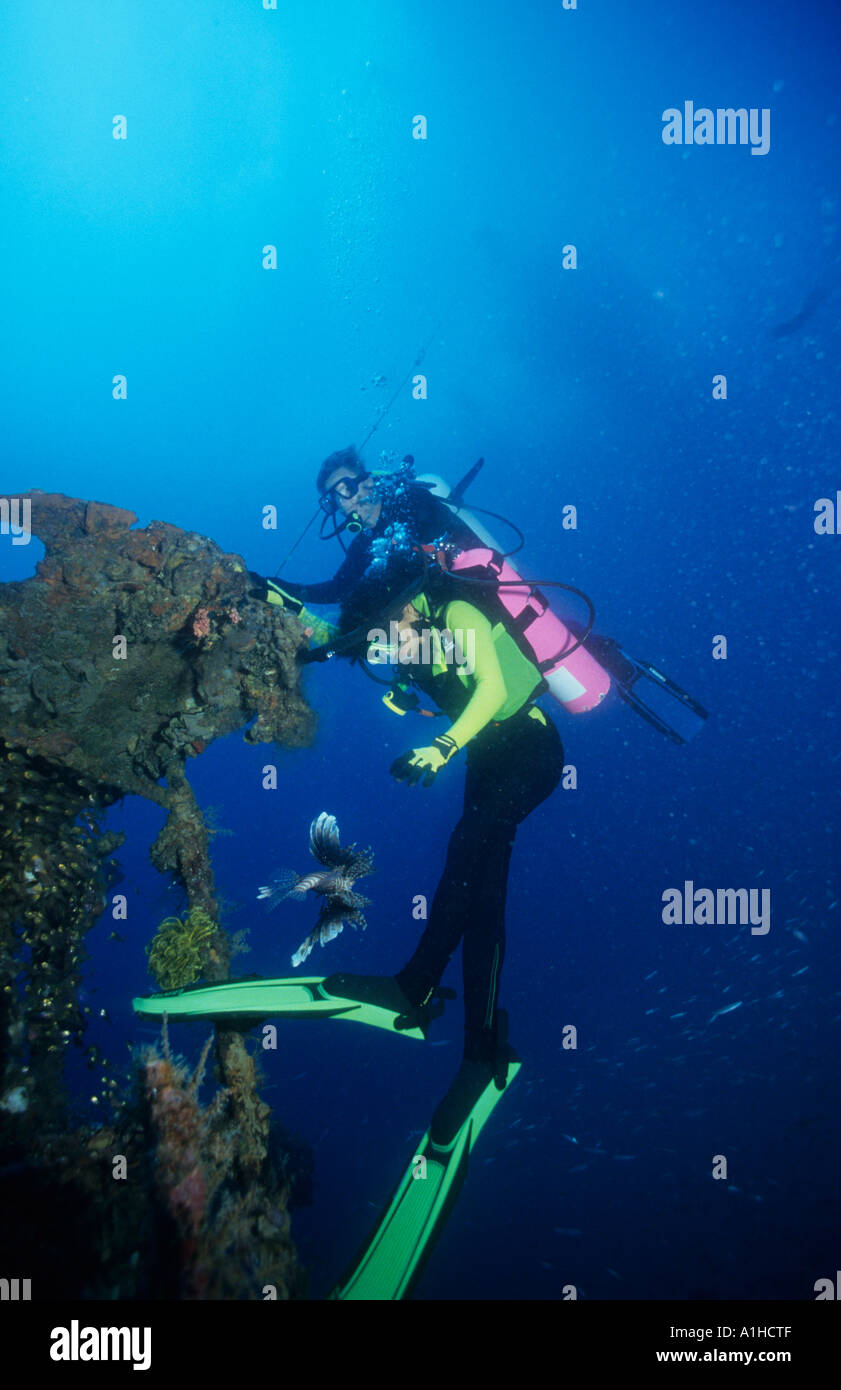 Plongeurs sur la superstructure du Nanshin Maru épave de la croissance et de l'île Black poisson-papillon l'Île Coron Palawan Philippines Banque D'Images