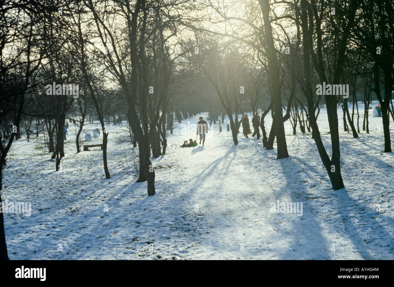 Neige scène fort hill Surrey UK Europe Banque D'Images