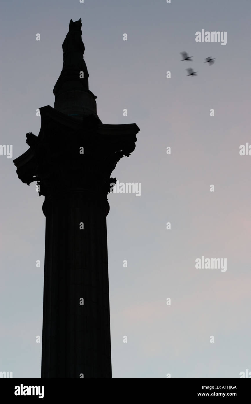 Silhouette de Nelsons Column à Trafalgar Square Londres Angleterre Royaume-uni Grande-Bretagne Banque D'Images