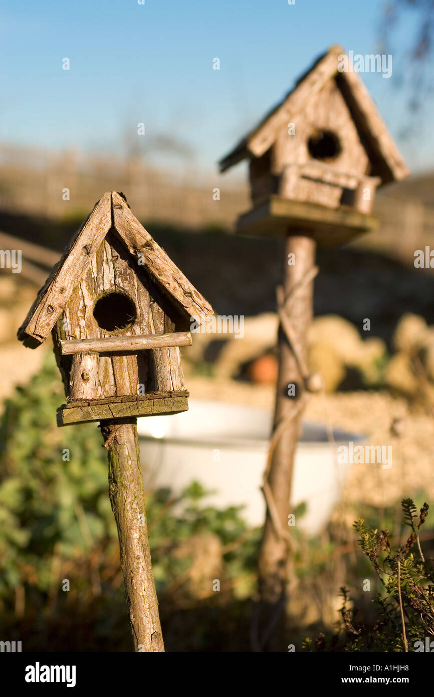 Deux maisons d'oiseaux en bois ou des boîtes d'oiseaux en soleil Banque D'Images