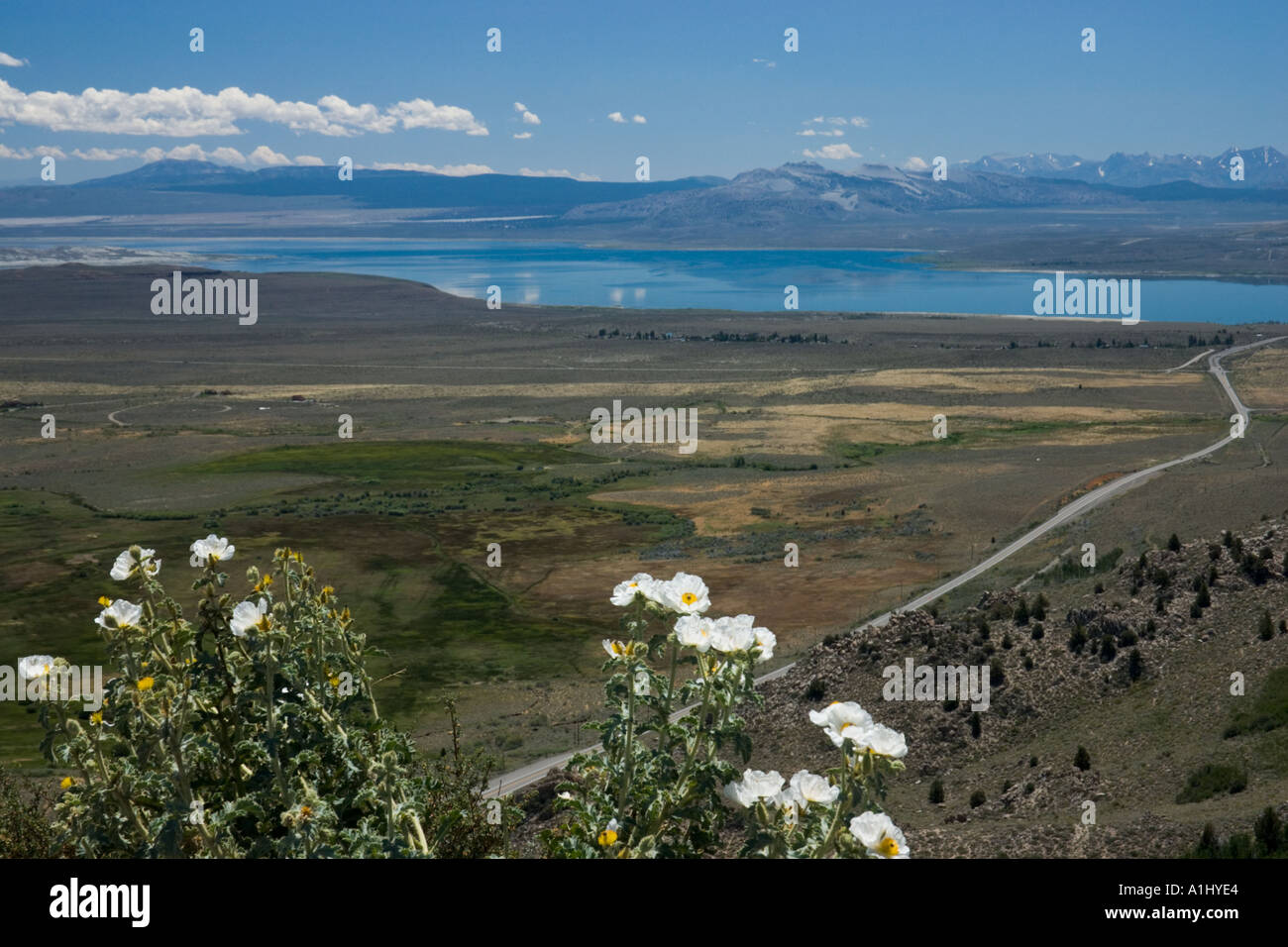 Lac mono et j'ai 395 Banque D'Images