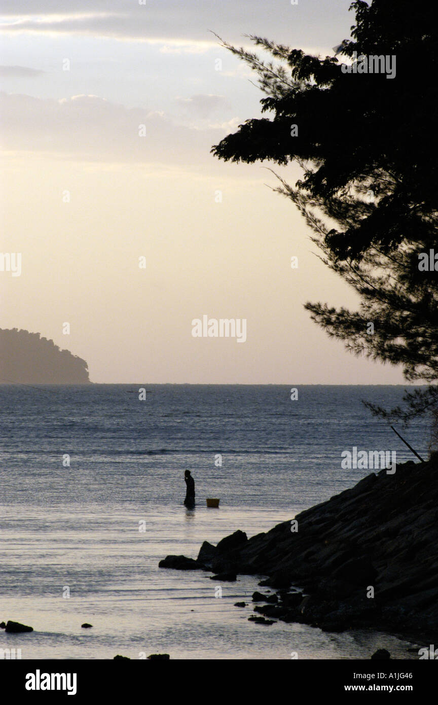 La collecte des oursins de mer pêcheur Banque D'Images