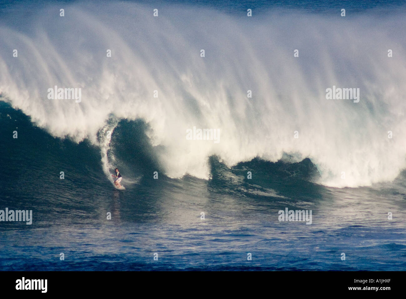 Les captures d'un surfer une vague massive de Waimea Bay, North Shore, Oahu, Hawaii Banque D'Images
