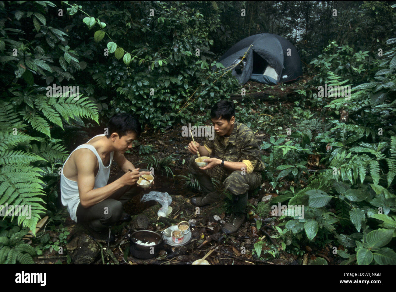 Forestiers Rangers, conservation de la faune, Vietnam Banque D'Images