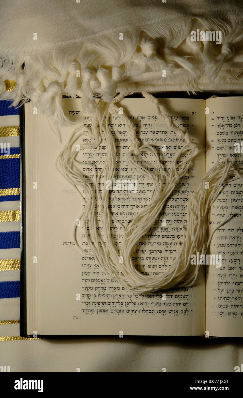 Tzitzis ou tsitsiyot a noué des franges rituelles ou des glands d'un coin d'un châle de prière de Tait porté par des juifs observants qui ponrent sur la bible juive de Torah Banque D'Images