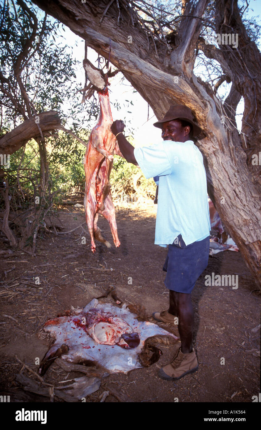 La préparation de chèvre homme Herero banquet de cérémonie à Purros village dans la région nord ouest de la Namibie Kaokoveld Sud Banque D'Images