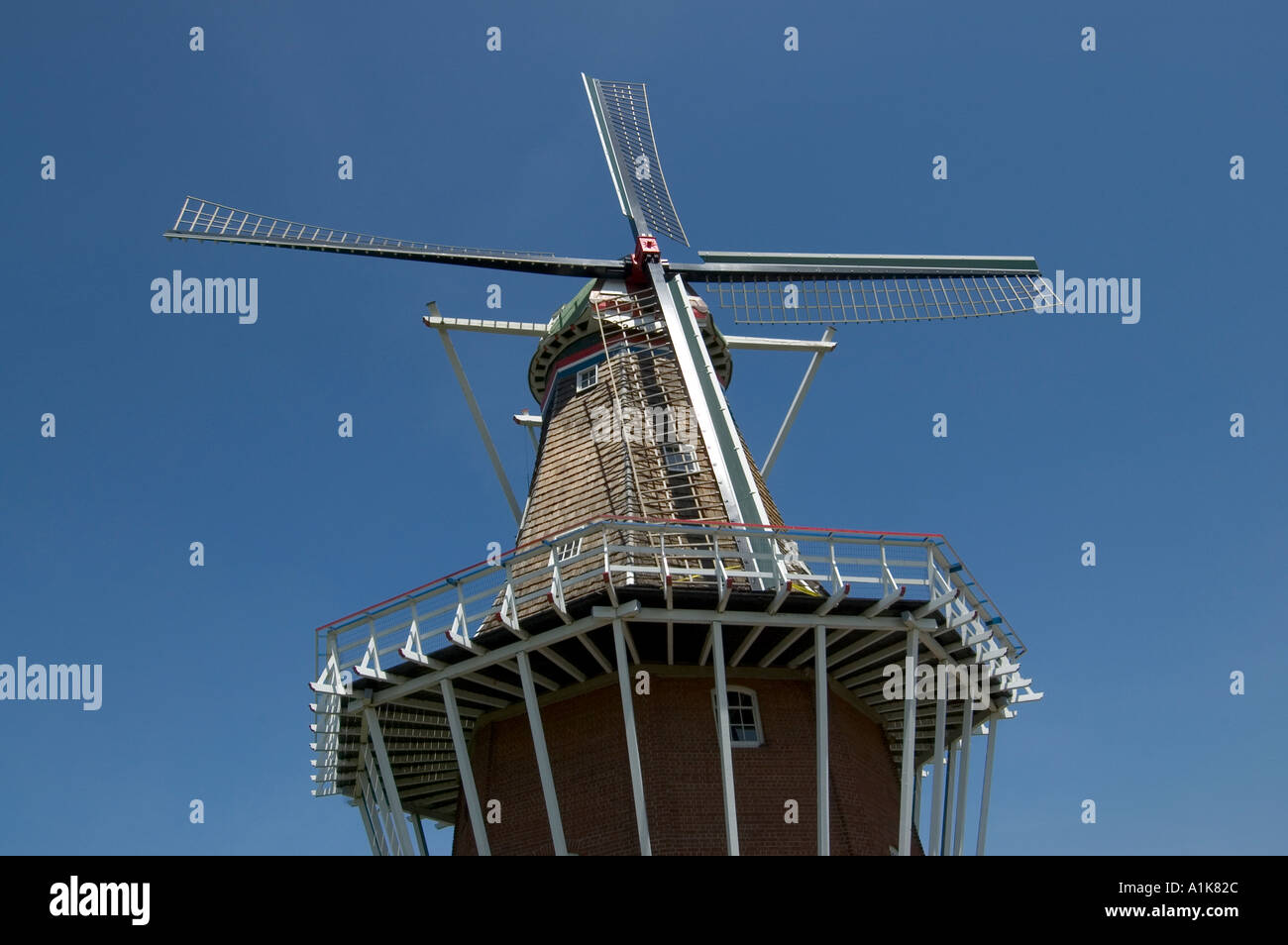 Holland Michigan Festival des tulipes Fleurs Tulipes et moulin Banque D'Images