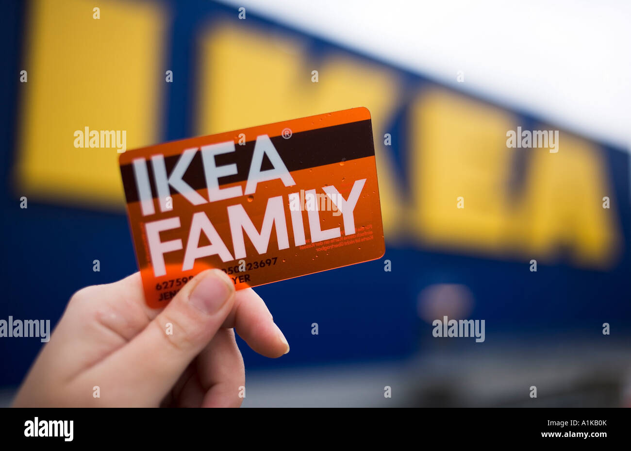 Haut 49+ imagen ikea family carte fr.thptnganamst.edu.vn