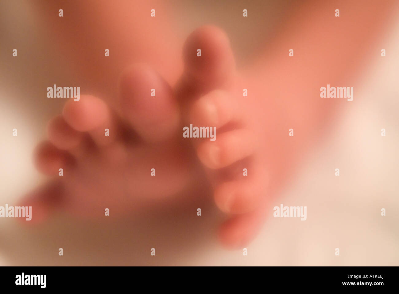 Pieds de bébé nouveau-né âgé de 4 jours avec éclat rayonnant soft focus intentionnellement Banque D'Images