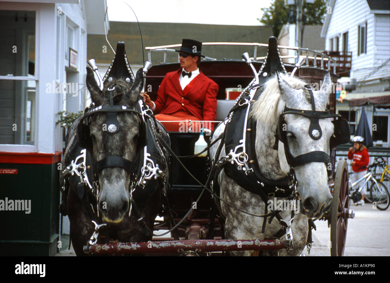 Équipe de transport de chevaux et de chauffeur Banque D'Images