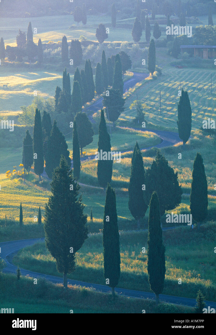 Route sinueuse, Monticchiello, Toscane, Italie Banque D'Images