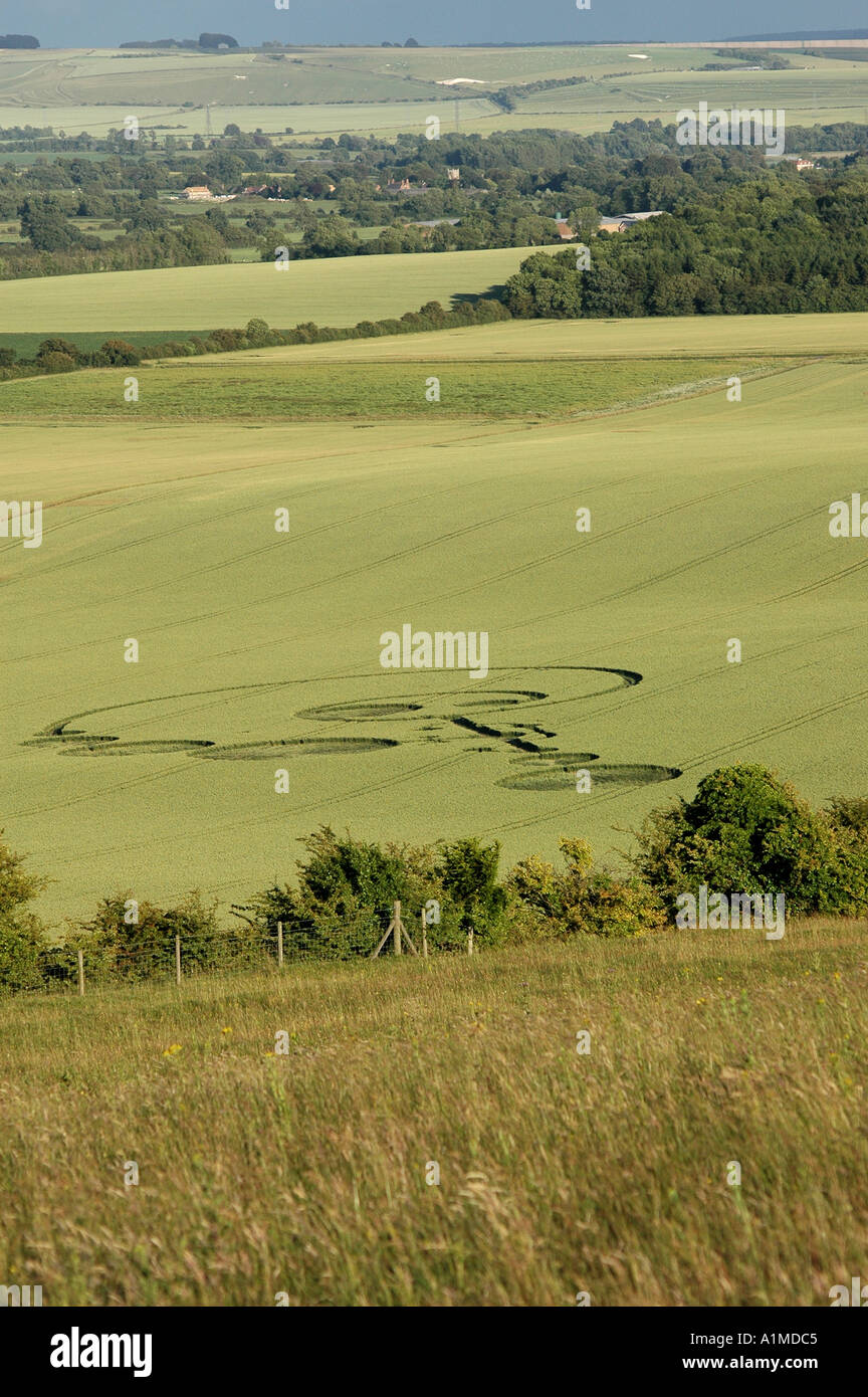 Crop Circle à l'East Field nr Alton Barnes Wiltshire a signalé 20 Juin 2004 Banque D'Images