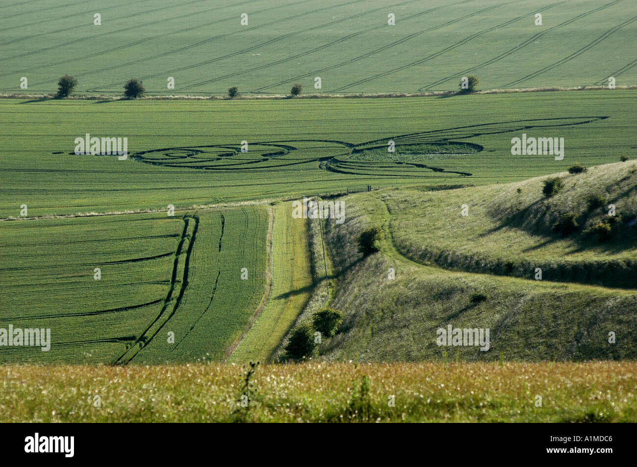 Crop Circle nr Alton Barnes Wiltshire rapporté Juin 2004 Banque D'Images