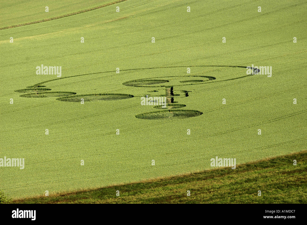 Crop Circle à l'East Field nr Alton Barnes Wiltshire a signalé 20 Juin 2004 Banque D'Images
