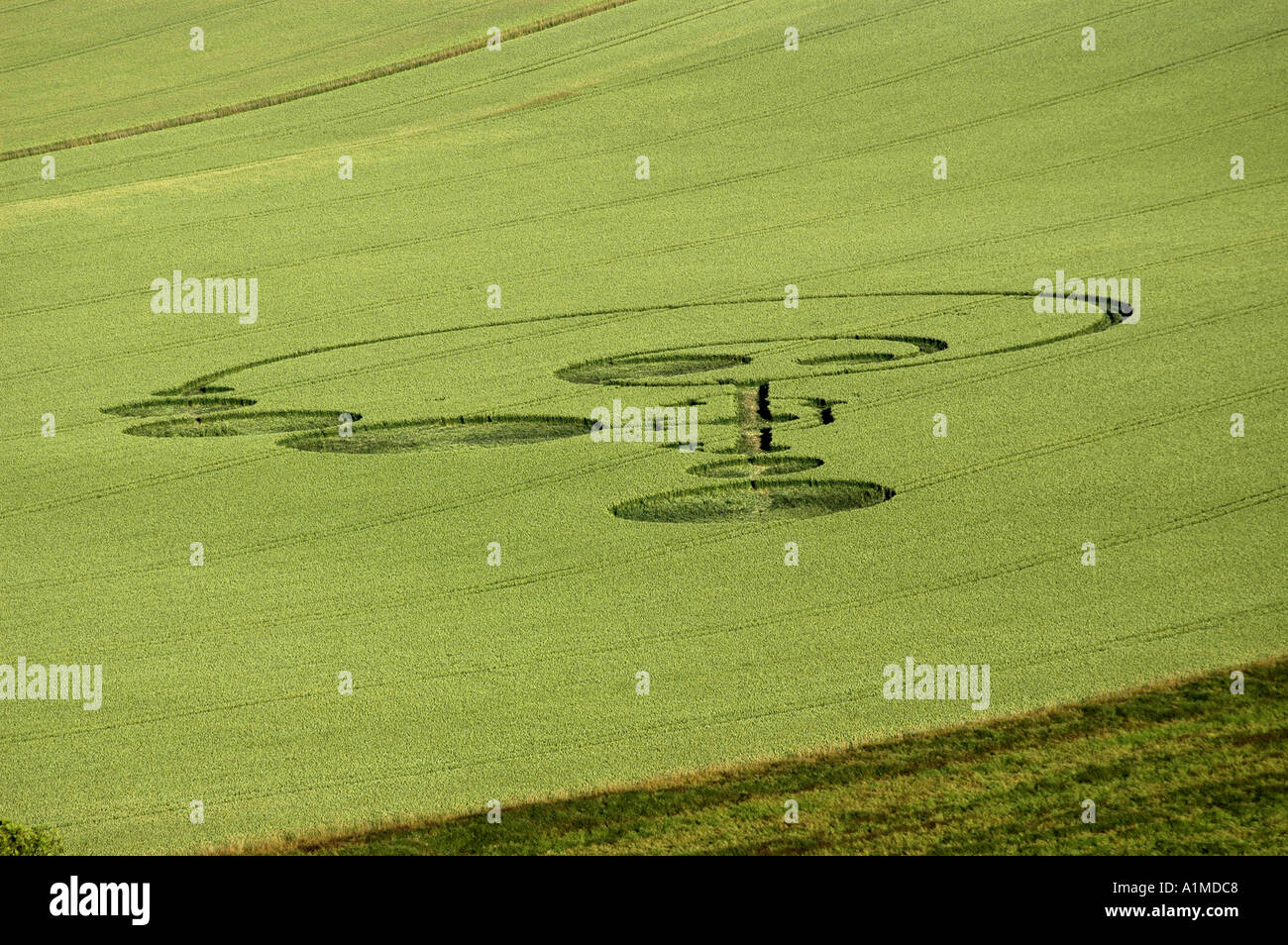 Crop Circle à l'East Field nr Alton Barnes Wiltshire a signalé 20 Juin 2004 Banque D'Images