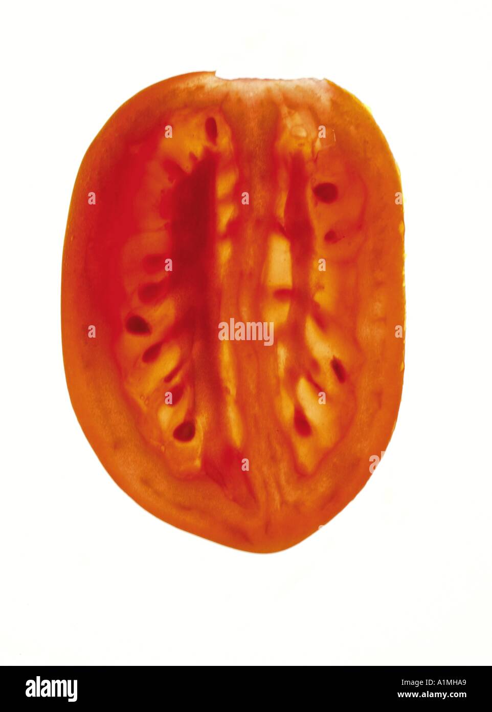 Tomate prune détail section longitudinale Banque D'Images