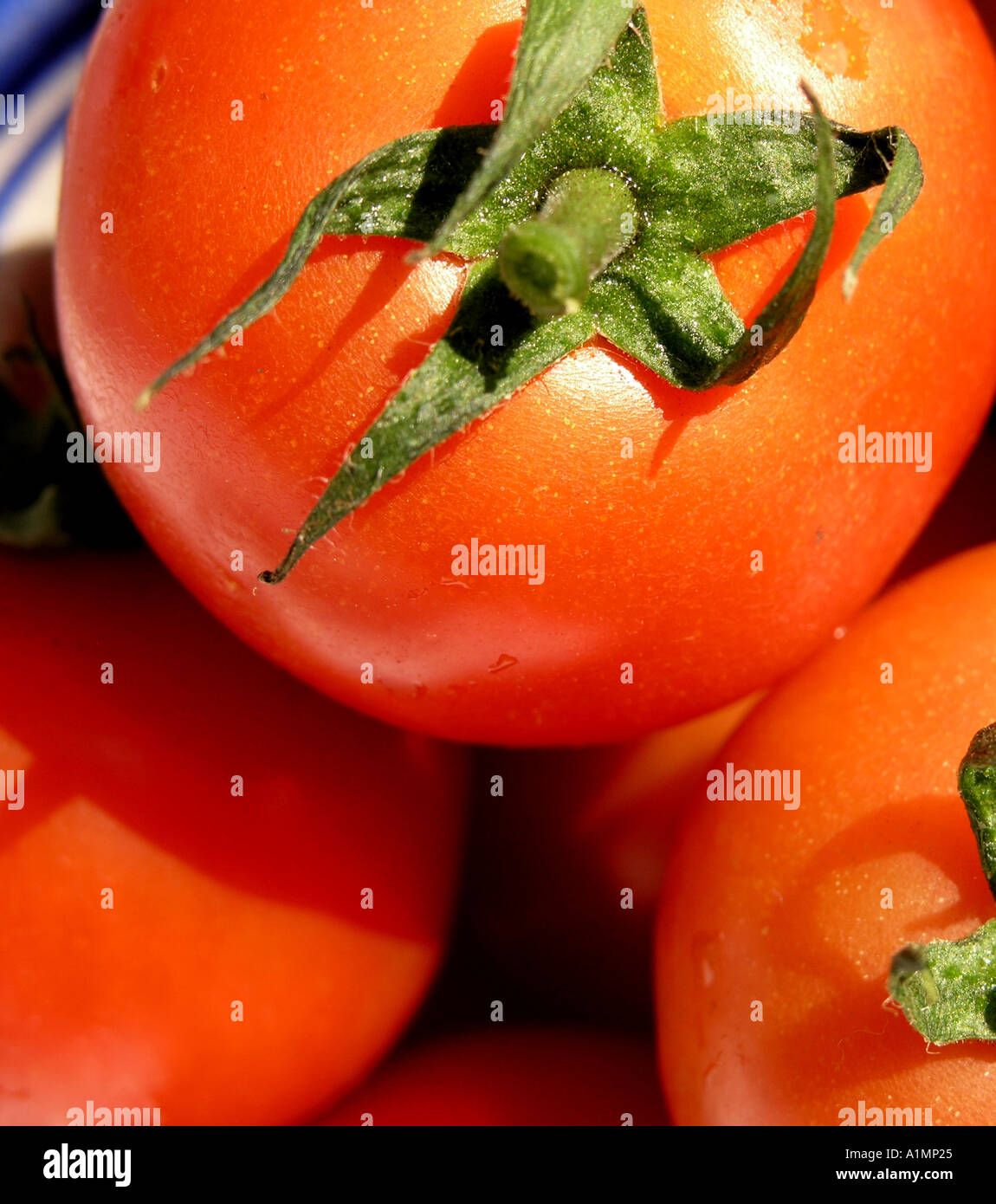 Les tomates biologiques dans un bol Banque D'Images