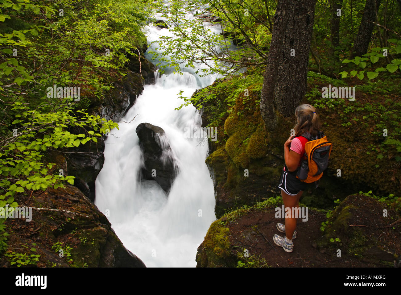 Un randonneur vues la Gorge de gagnant gagnant Creek Trail Gorges de la Forêt Nationale de Chugach Girdwood Alaska MR Banque D'Images