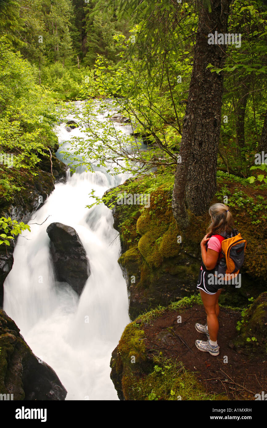 Un randonneur vues la Gorge de gagnant gagnant Creek Trail Gorges de la Forêt Nationale de Chugach Girdwood Alaska MR Banque D'Images