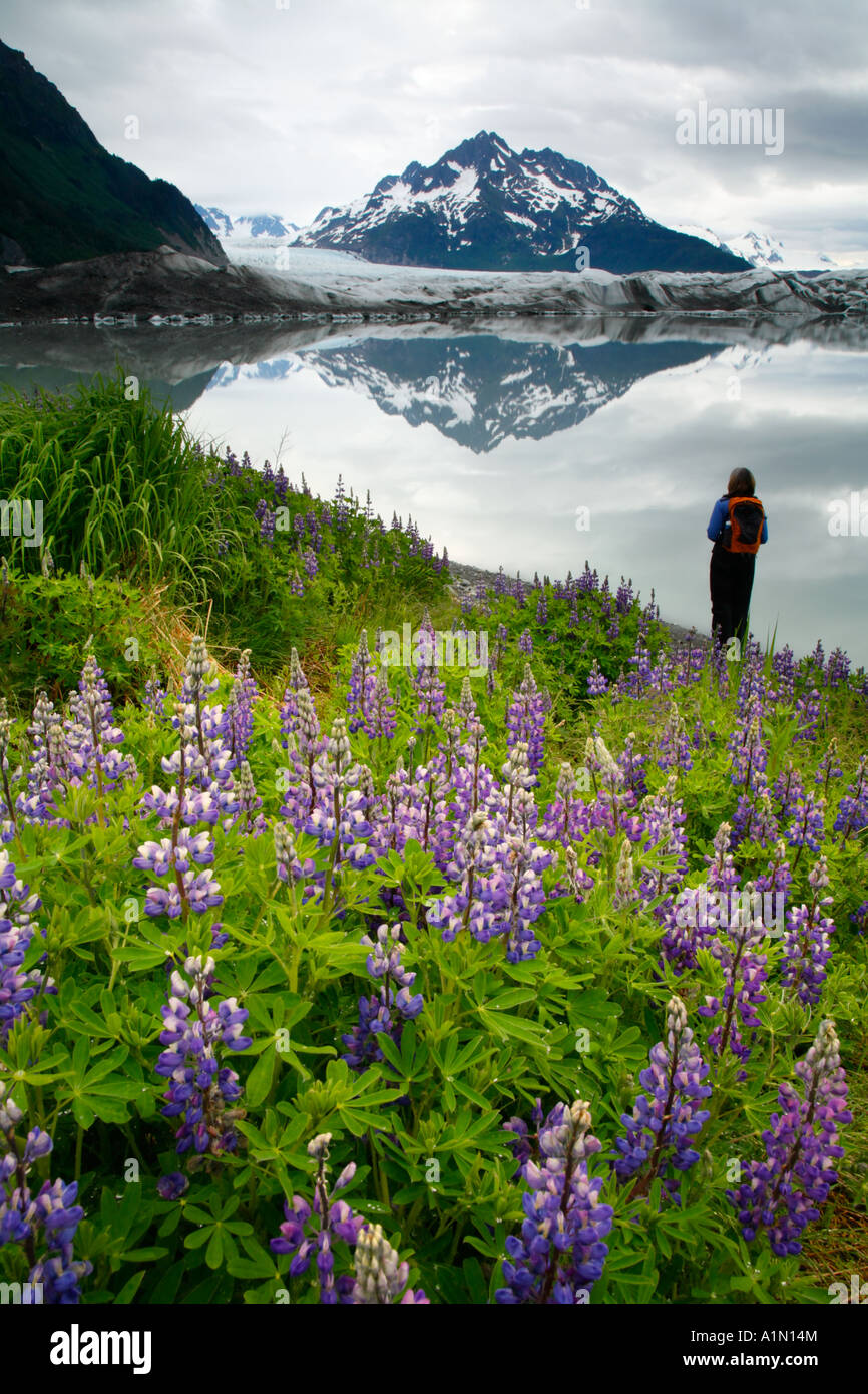 Randonneur au Sheridan Cordova Glacier Alaska la Forêt Nationale de Chugach Banque D'Images